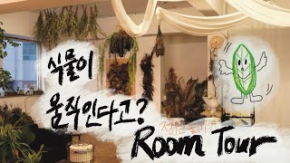 RoomTour밤에 몰래 움직이는 식물들 구하기 어려운 식물과 야자 식물 스타일링 촬영 준비 훔쳐보기 다양한 아디안텀 겨울을 마무리하는 식물들 [upl. by Analem]