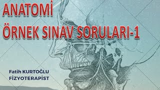 Anatomi Öğreten Örnek Sınav Soruları1  ÖnlisansLisans [upl. by Beau320]