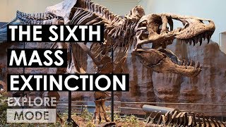 6 of the most devastating mass extinctions [upl. by Pontias841]