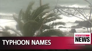 How typhoons get their names [upl. by Ikiv]