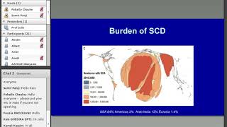 The Impact of SickleinAfrica Julie Makani [upl. by Jardena904]