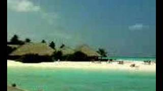 meeru island travels maldives sea beautiful beach [upl. by Varhol]