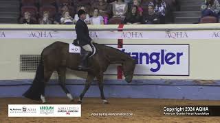 2024 AQHA Junior Hunter Under Saddle World Champion [upl. by Gamal]