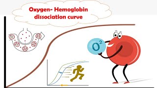 OxygenHb dissociation curve easy to learn biochemistry mbbs medicine usmle biology [upl. by Lothar]