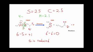 Lets Think about determining oxidation numbers from structure [upl. by Gupta]