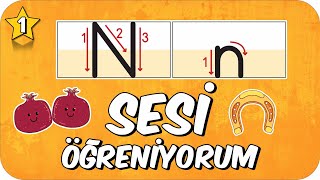 N Sesi Öğretimi 🌿 Okunuşu ve Yazılışı ✍🏻 1Sınıf 2025 [upl. by Mcclenon]