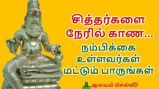 சித்தர்களை காண மந்திரம்  Siddhar Worship  Siddhar Vazhipadu [upl. by Jennica]