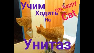 УЧИМ КОТА Simon ходить на УНИТАЗCAT TOILET SEATСАЙМОН ходит на унитазСоветуем посмотреть [upl. by Aynekal827]