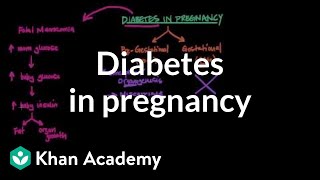 Diabetes in pregnancy  Reproductive system physiology  NCLEXRN  Khan Academy [upl. by Adyaj]