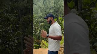 Mandaram nuwara 🌿🇱🇰 srilanka nature vlog vila srilankanews [upl. by Keon]