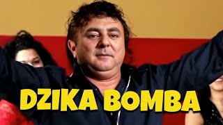 ROBERT MAKŁOWICZ  DZIKA BOMBA 💣 Sandu Ciorba  Dalibomba AI Cover [upl. by Lambard281]