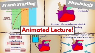 Cardiac Preload amp FrankStarling Law simply explained [upl. by Heim924]