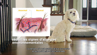 Hills Prescription Diet Derm Defense pour apaiser et nourrir la peau de votre chien [upl. by Ahserak]