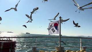 Feeding the seagulls from the ship  Taejongdae Gonpo Cruise Ship 태종대 곤포유람선 Jan 11 2024 1442hrs [upl. by Sidnee]