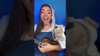 Vamos soletrar CACHORRO Cante e ensine às crianças musicainfantil alfabetizacao brinquedos [upl. by Reinold]