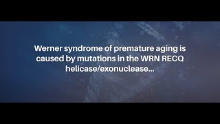 Werner Syndrome RECQ Helicase and Heterochromatin Maintenance in Human Cells  AgingUS [upl. by Nrobyalc]