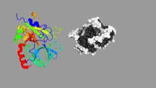 Simulation of the aptamerthrombin binding [upl. by Vonny]