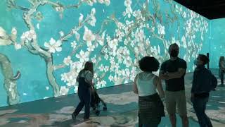 Tour “Beyond van Gogh The Immersive Experience” [upl. by Rogergcam]