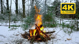 🔥 4K Campfire in the Winter Forest 12 HOURS Relaxing Campfire with Burning Logs and Fire Sounds [upl. by Asiruam]