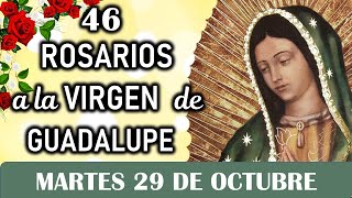 46 Rosarios a la Santísima Virgen de Guadalupe Martes 29 de Octubre Dia 2 🥀 Misterios Dolorosos 🥀 [upl. by Levana]