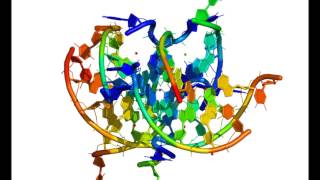 The original Gquadruplex structure [upl. by Arul]