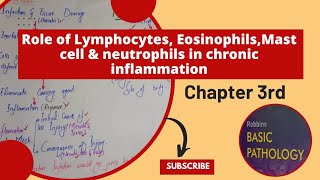 Role of LymphocytesEosinophilsMast cells and Neutrophils in Chronic inflammationpathologyrobbins [upl. by Brasca234]