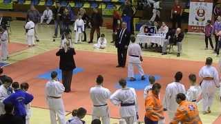 Robert Albulescu kumite la Banzai Cup Arad 2014 [upl. by Seabury]