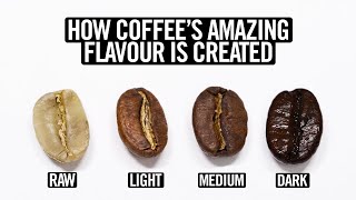 Coffee Roasting Explained [upl. by Kursh788]