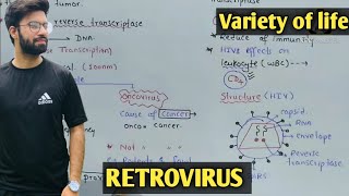 Retrovirus  Retrovirus class 11 Retrovirus amp HIV [upl. by Assile]