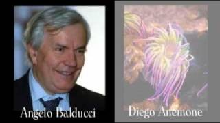 Angelo Balducci e Diego Anemone intercettati [upl. by Lucius]