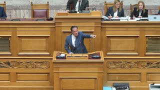 Ο Άδωνις Γεωργιάδης για την quotΠρόταση δυσπιστίας κατά της Κυβέρνησηςquot 27032024 [upl. by Sapphira]