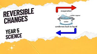 Properties and changes of materials Reversible Changes Y5 L4 [upl. by Olim]