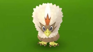 Rufflet Spotlight Hour  Shiny Hunt  Live  Pokemon GO [upl. by Artimid]