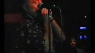 Kim Wilson Blues Revue  Nervous Fellow amp Harmonica Solo [upl. by Hsirap738]