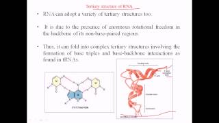 RNA structure  tertiary structure [upl. by Wright]