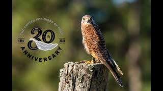 The Avian Conservation Center Brand Film [upl. by Crofton]