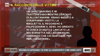 Violenze di Capodanno chi sono gli aggressori e come hanno agito  Ore 14 del 13012022 [upl. by Noied799]