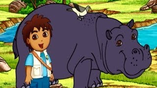 Go Diego Go Diegos Hippo Adventure Game For Kids Full HD Video [upl. by Eahsed]