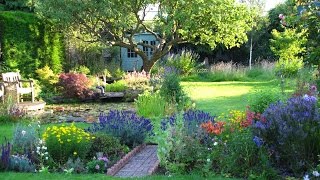 The Cottage Garden in Surrey  An English Country Garden Through the Seasons [upl. by Wandis]