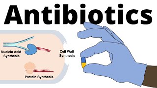 Antibiotics  Mechanisms of Action Classification and Antibiotic Resistance [upl. by Bergman]