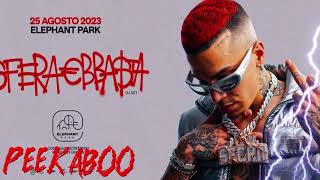 Sfera Ebbasta  Visiera A Becco peekaboo RMX [upl. by Merdith198]