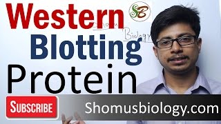 Western blotting technique  principle and step by step procedure [upl. by Lowery16]