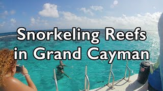 Snorkeling the Stunning Coral Garden in Grand Cayman  Underwater Footage [upl. by Ahselef69]