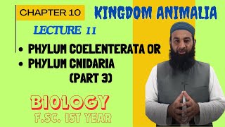 Phylum CoelenterataCnidaria Part 3 I Chapter 10 I FSc I First Year I biology I Lec 09 [upl. by Eatnhoj]