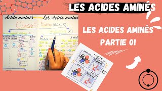 📣Les Acides Aminés1 Leurs structuresAstuce pour les apprendre اقوى طريقة لحفظ الاحماض الامينية [upl. by Erreid558]