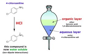 Separating Components of a Mixture by Extraction [upl. by Elleinnad706]