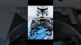 microscope test കാട്ട് തവളയെ 😸 m4techmicroscope test shorts mrzthoppi [upl. by Veronique494]