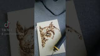 pyrography woodart woodburnerpirografia owl sowa [upl. by Sally]