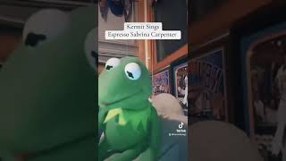 Kermit The Frog Sings Espresso Sabrina Carpenter [upl. by Ahsenad443]