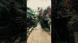 Castañas Spring Resort leyte nature spring [upl. by Naillik]